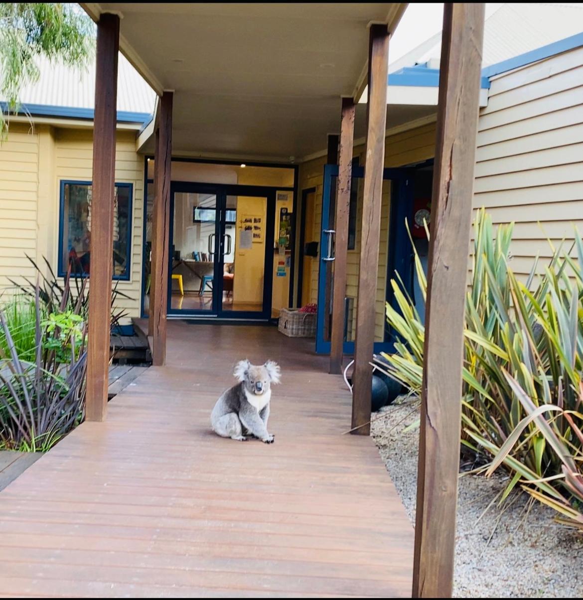 Sandpiper Motel Apollo Bay Zewnętrze zdjęcie